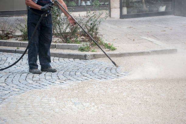 Best Animal Enclosure Cleaning  in Pierre Part, LA